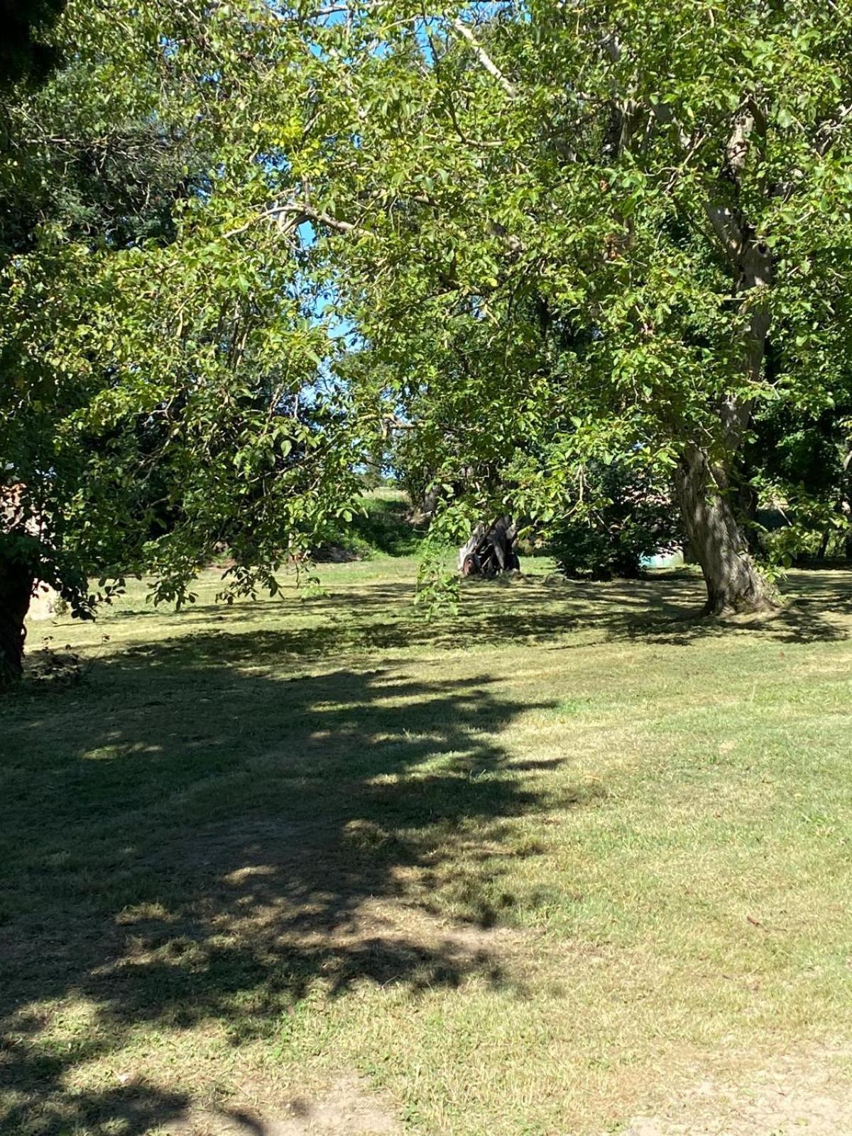 Les Anges Bleus Villa Chavannes-Sur-Reyssouze ภายนอก รูปภาพ